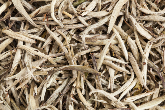 White Tea Extract: The Skincare Hero Your Skin Never Knew It Needed!