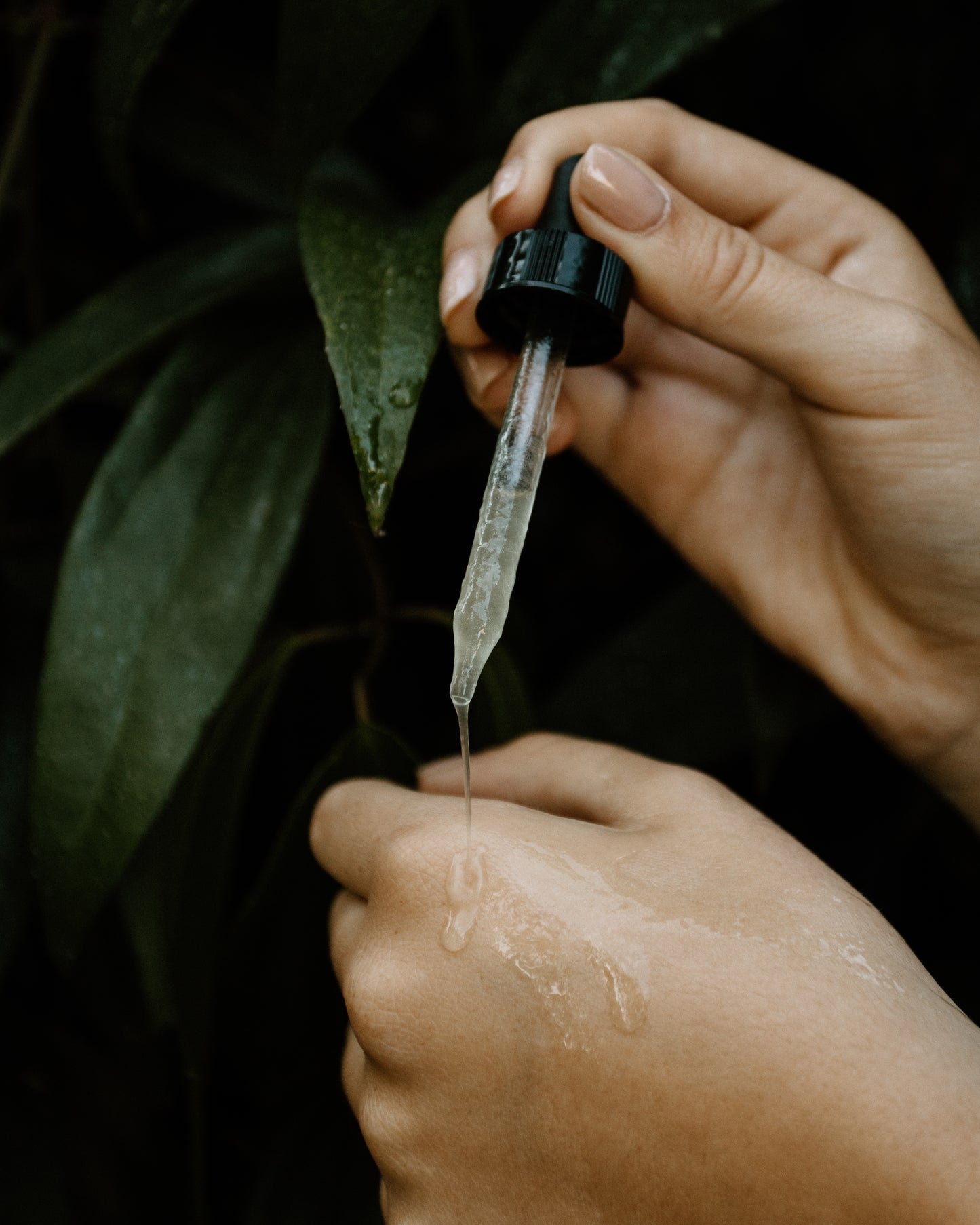 Dew Drop Hyaluronic Acid Serum