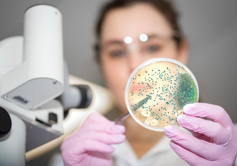 Understanding the Skin Microbiome: Why It’s Crucial for Healthy Skin